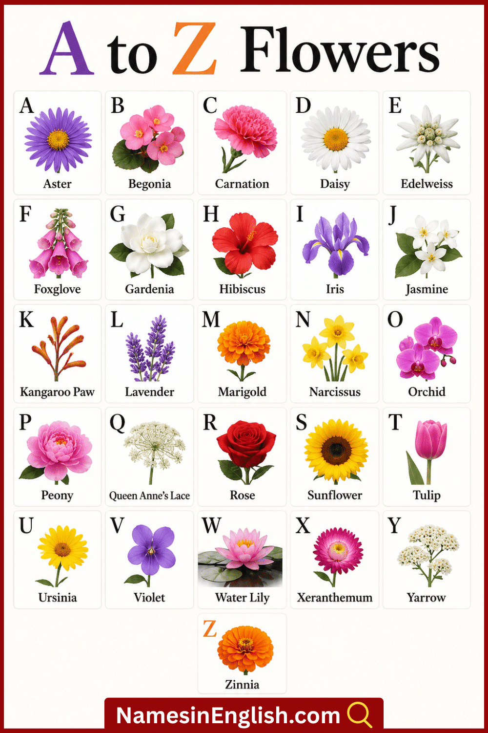 Flowers Names From A to Z