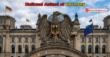 Germany National Animal with Name and Picture