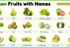 Green Fruits with Names in English with their Pictures