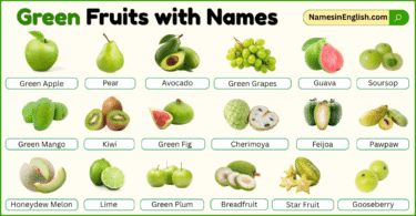 Green Fruits with Names in English with their Pictures