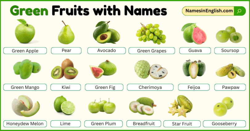 Green Fruits with Names in English with their Pictures