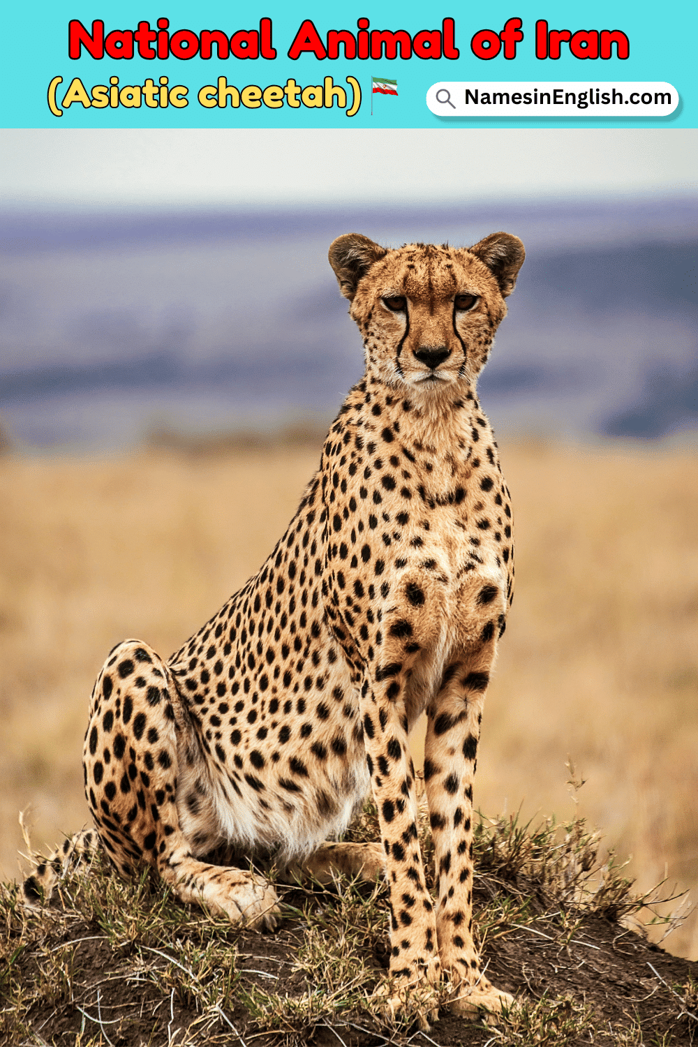 Name of National Animal of Iran