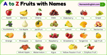 A to Z Fruits with Names and with Pictures