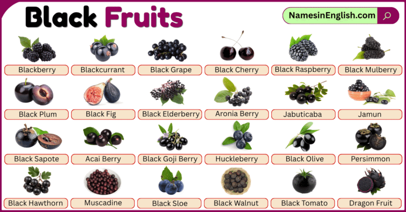 Black Fruits with Names in English and Pictures