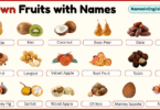 Brown Fruits with Names in English with their Pictures