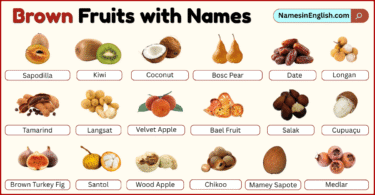 Brown Fruits with Names in English with their Pictures