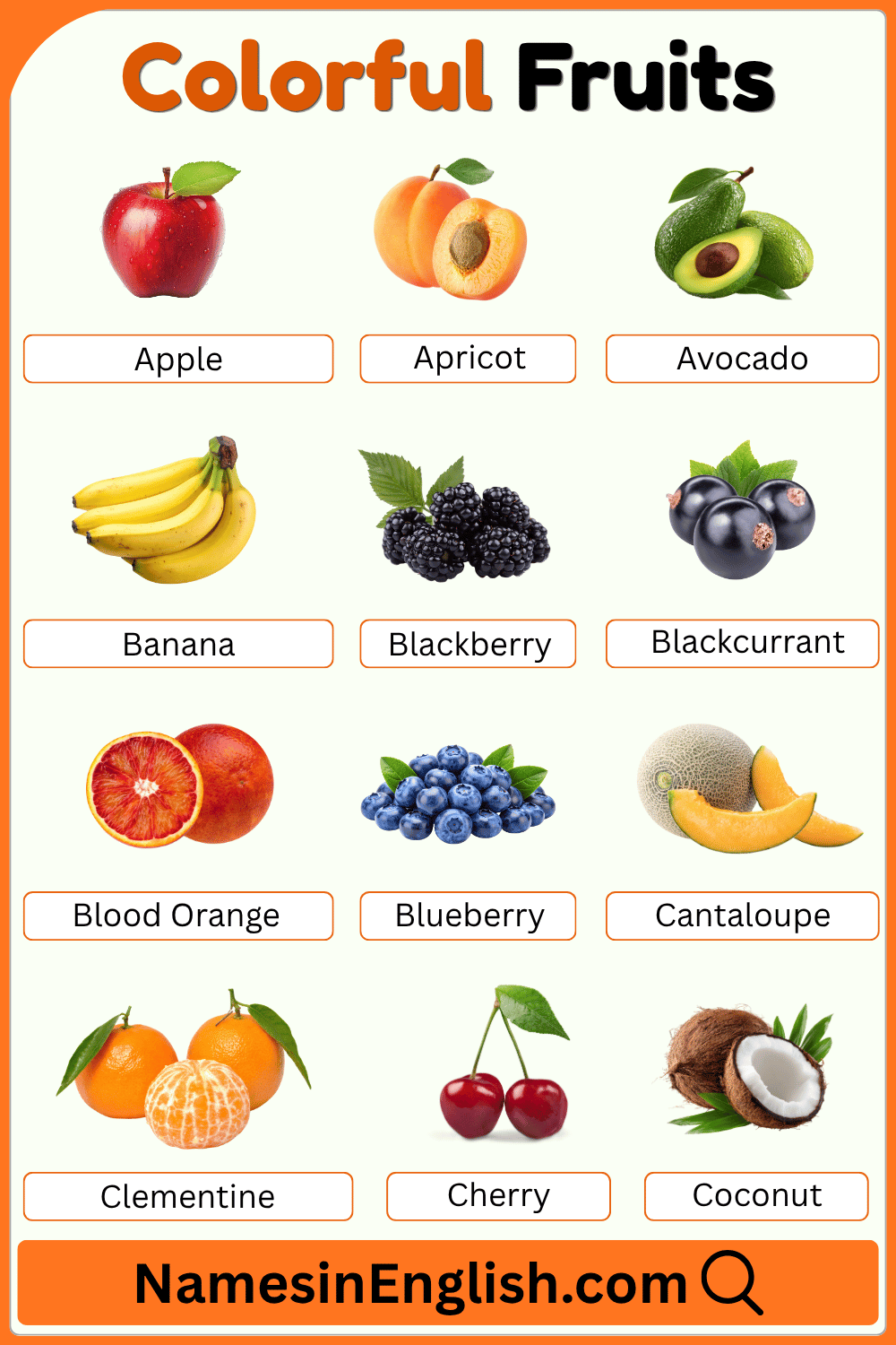 Colorful Fruits Names in English