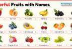Colorful Fruits with Names in English with Pictures