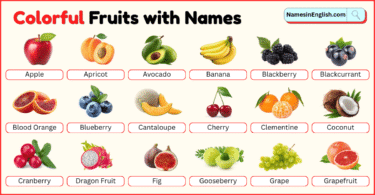 Colorful Fruits with Names in English with Pictures