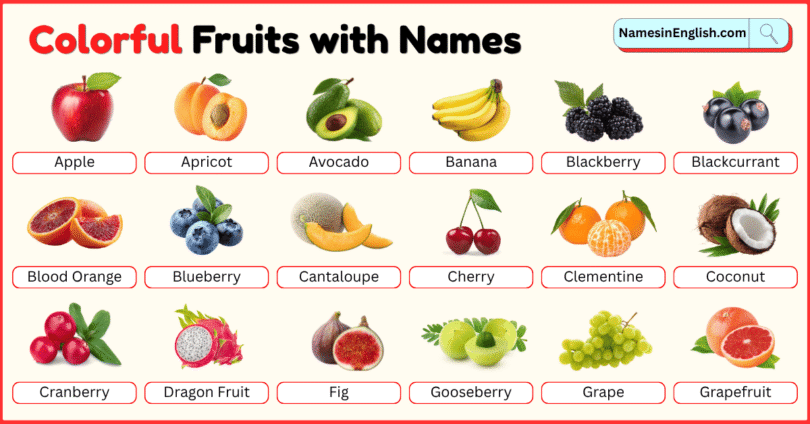 Colorful Fruits with Names in English with Pictures