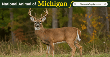 Michigan State Animal with Name and Picture