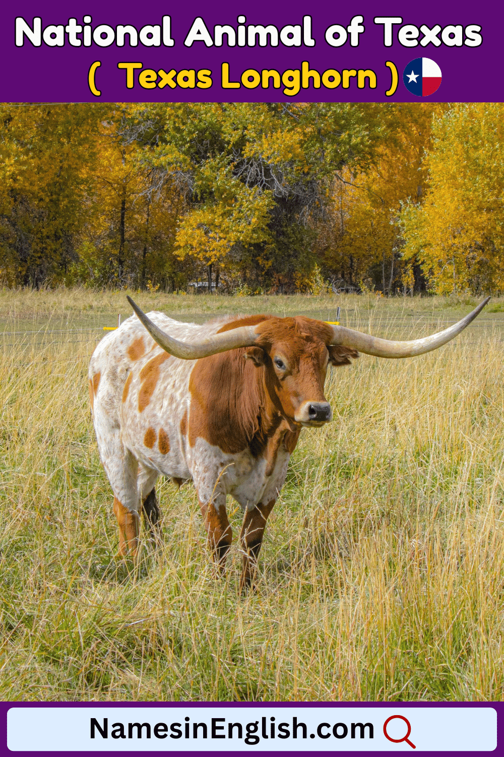 Name of National Animal of Texas