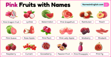 Pink Fruits with Names in English with their Pictures