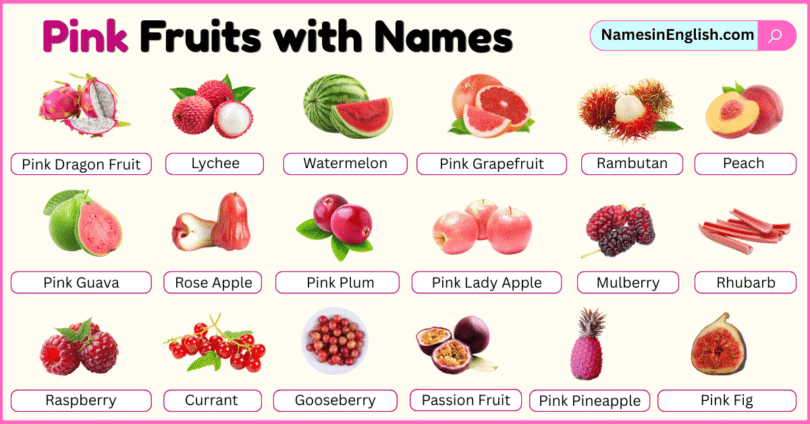Pink Fruits with Names in English with their Pictures