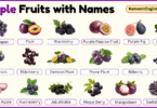 Purple Fruits with Names in English with their Pictures