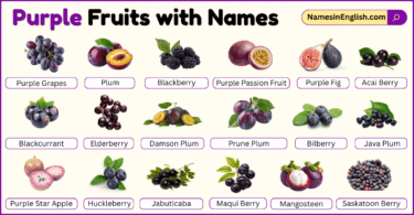 Purple Fruits with Names in English with their Pictures