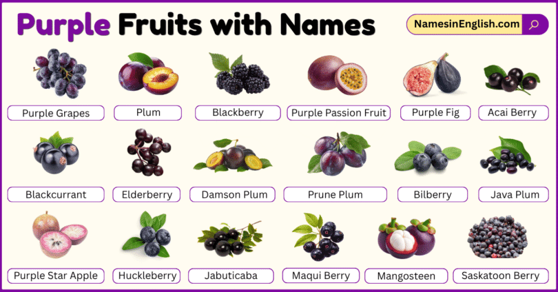 Purple Fruits with Names in English with their Pictures