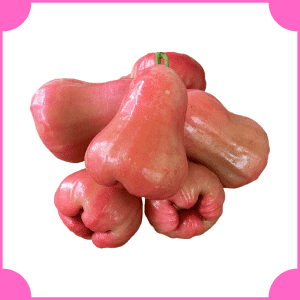Rose Apple | Pink Fruits with Names