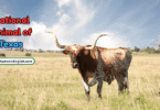 Texas State Animal with Name and Picture