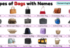 Types of Bags with Pictures and Names in English