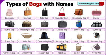 Types of Bags with Pictures and Names in English