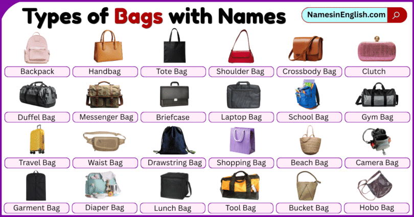 Types of Bags with Pictures and Names in English