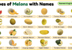 Types of Melons with Pictures and Names in English