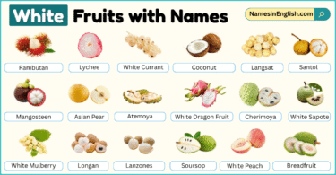 White Fruits with Names in English with their Pictures