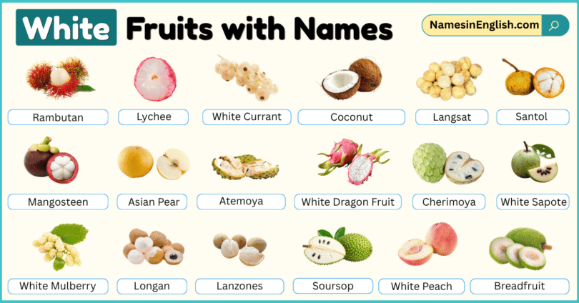 White Fruits with Names in English with their Pictures