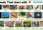 Animals That start with N with Names and Pictures