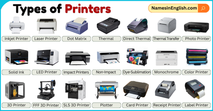 Different Types of Printers with Pictures and Names in English