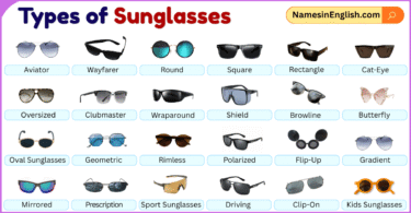 Different Types of Sunglasses with Names and Pictures