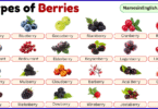 Types of Berries with Pictures and Names in English