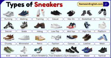 Types of Sneakers with Pictures and Names in English