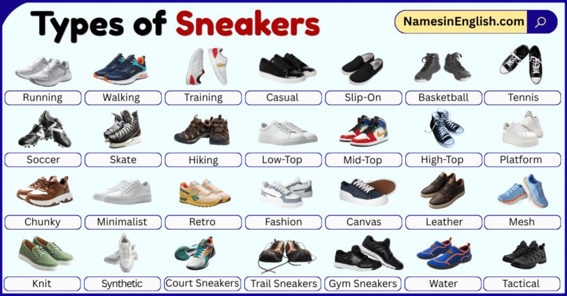 Types of Sneakers with Pictures and Names in English