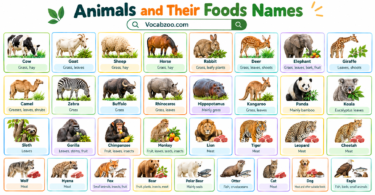 Animals and their Foods Name with Pictures